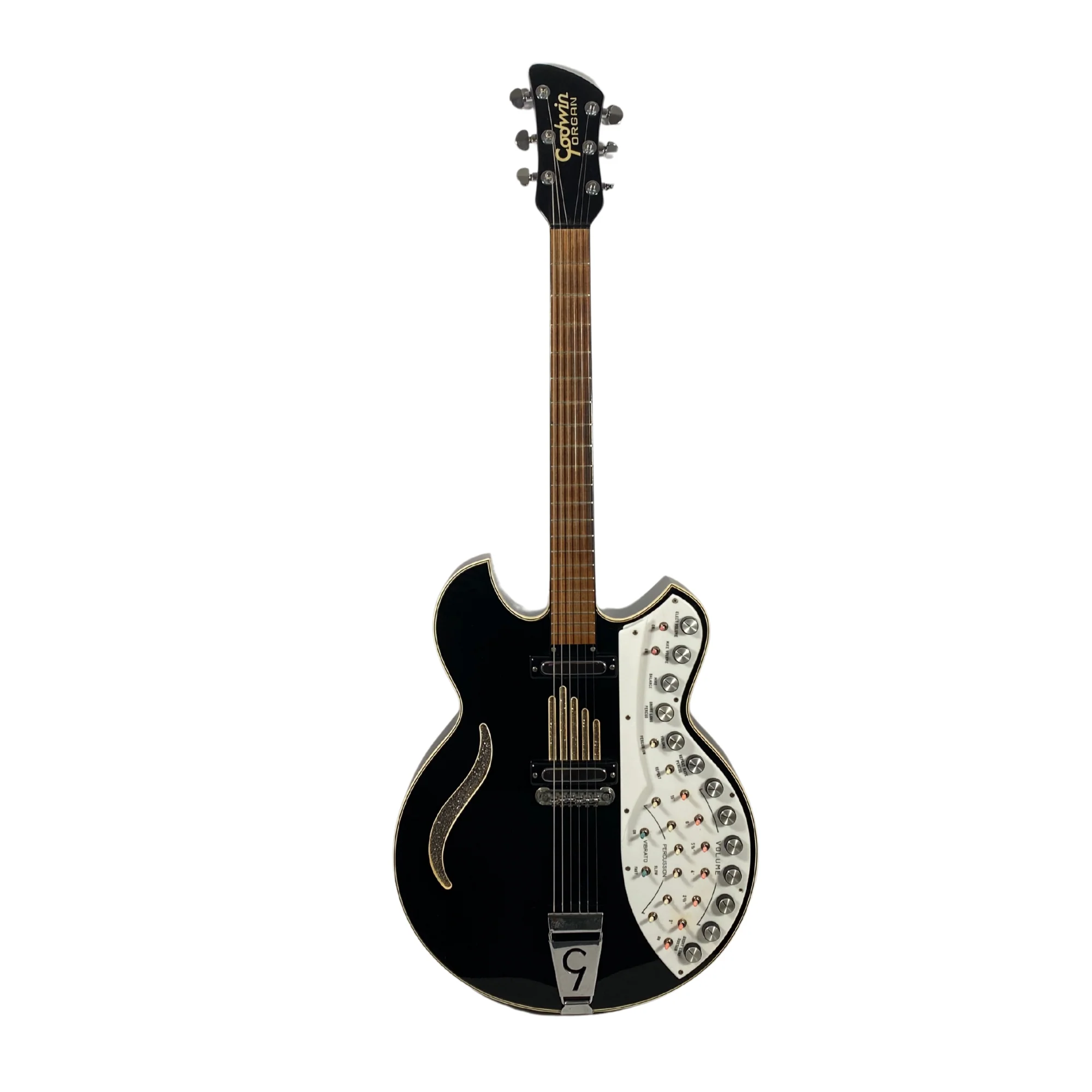 Godwin Guitar Organ Deluxe (Sisme) - Image 3